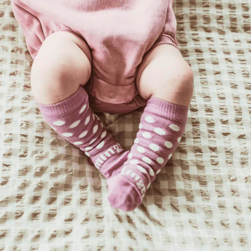 Lamington Baby Socks - Knee High | Jemima
