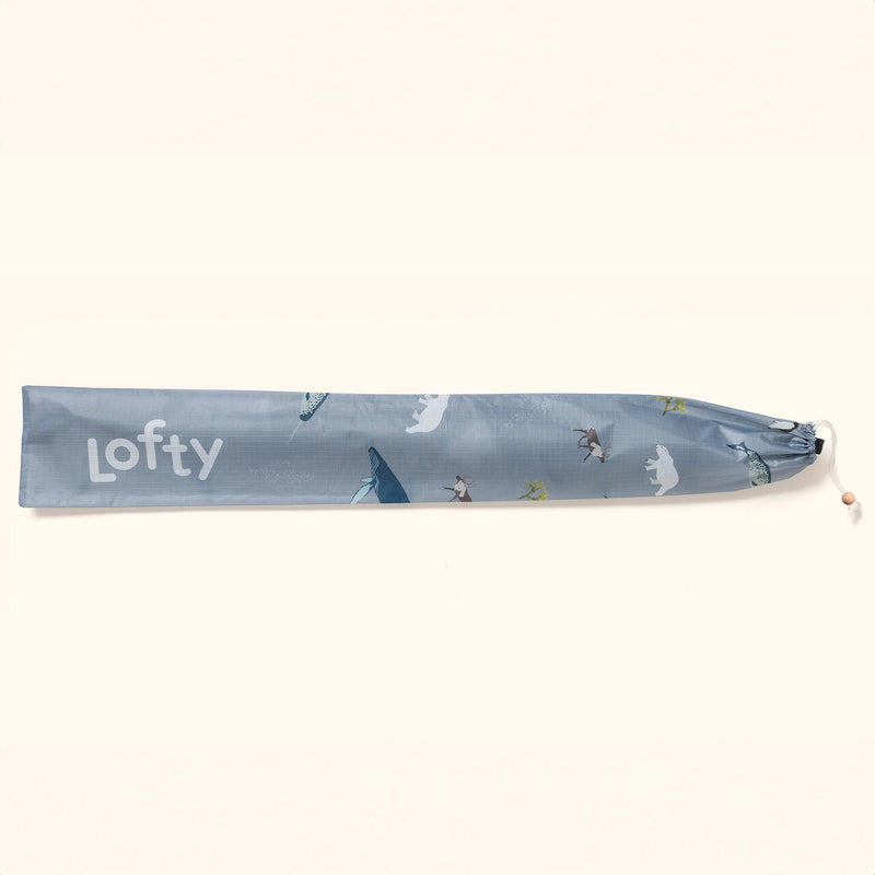 Lofty Kites | Artic